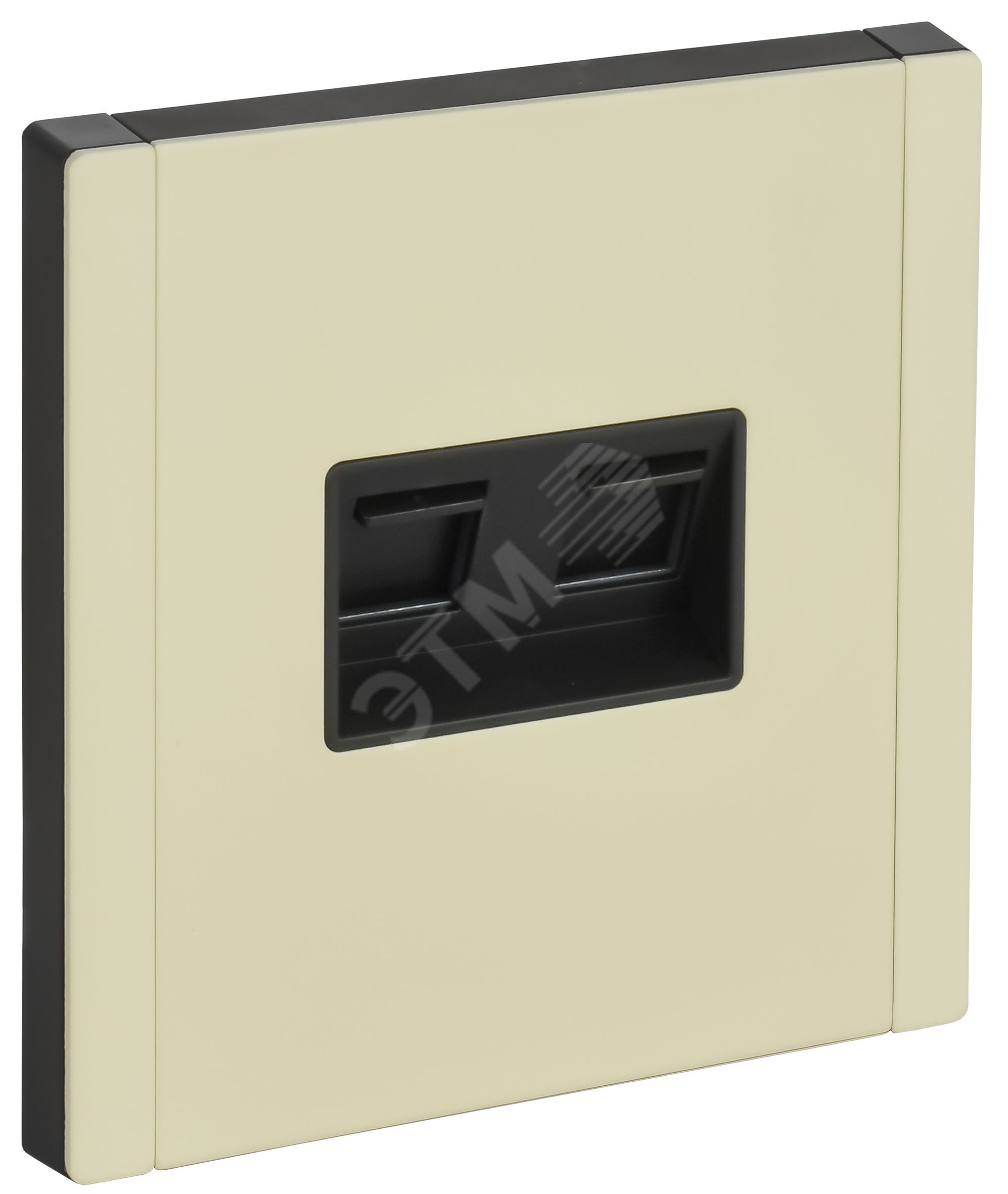 Изображение товара FORTE&PIANO Розетка компьютерная двойная RJ45 кат.5E FP833M металл слоновая кость (шт) Изображение товара FORTE&PIANO Розетка компьютерная двойная RJ45 кат.5E FP833M металл слоновая кость (шт)