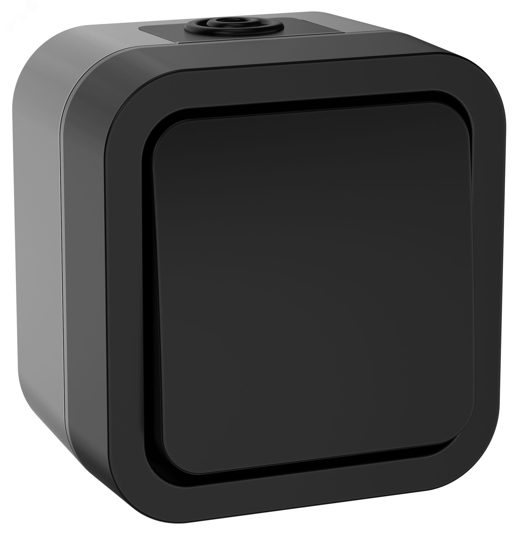 Изображение товара Двухполюсный одноклавишный выключатель TORS 10А IP55 графит