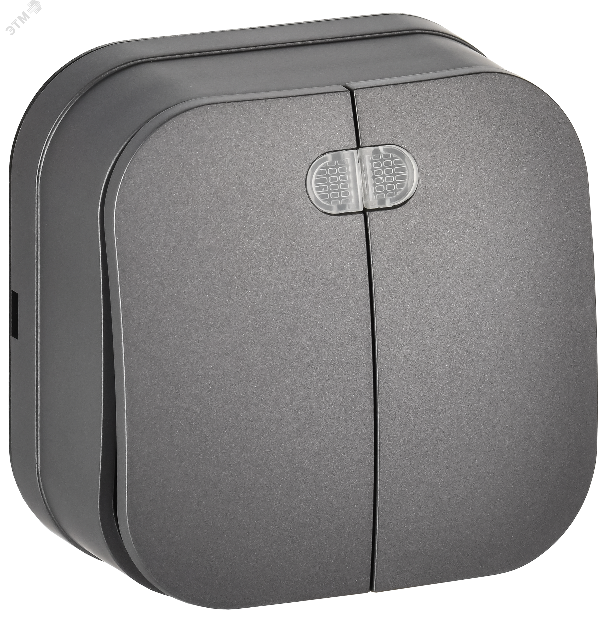 Изображение товара Двухклавишный выключатель 10А с индикацией IEK серии GLORY стальной монтаж открытый