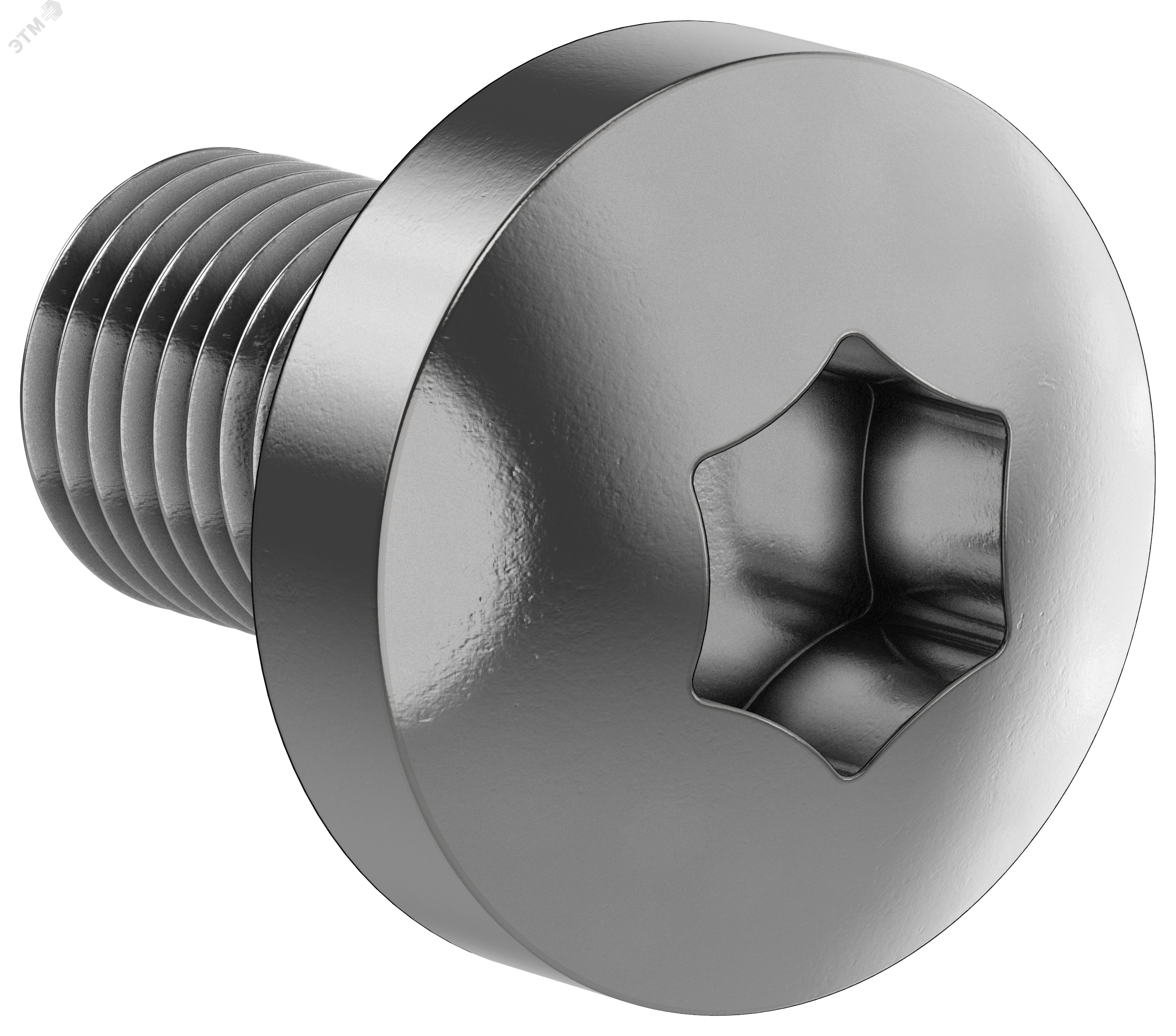 Изображение товара Комплект винтов М6х10 самонарезающих с TORX30 для шкафов 50 шт IEK