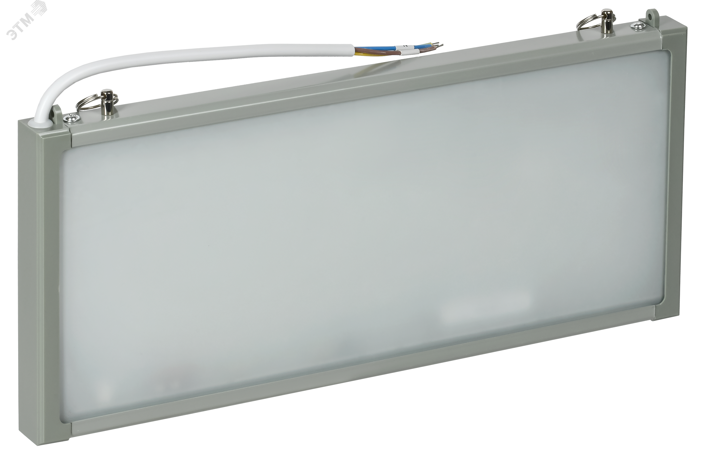 Изображение товара Автоматический аварийный светильник ССА 302 1Вт односторонний для высокой влажности