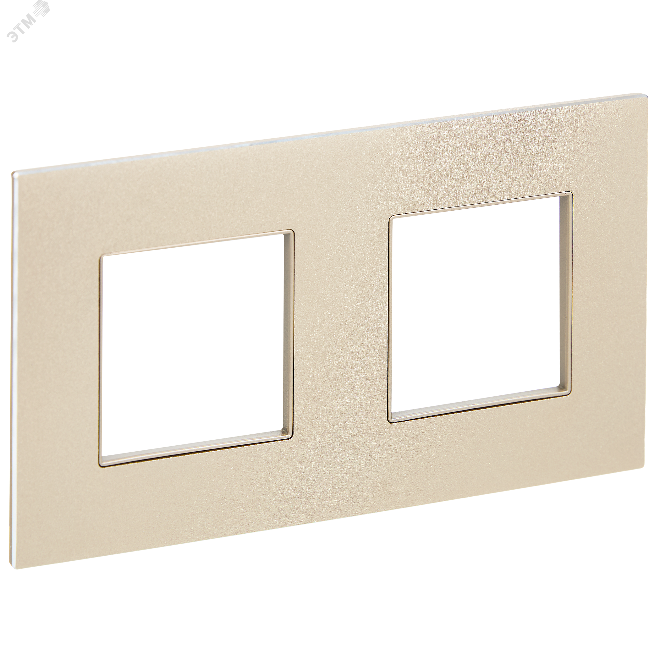 Изображение товара Металлическая рамка SKANDY 2 поста шампань для фото интерьера