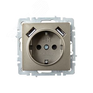 BRITE Розетка с заземлением с защитными шторками 16А с USB A+A 2,1А РЮш10-1-БрШ шампань - фото 2