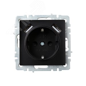 BRITE Розетка с заземлением с защитными шторками 16А с USB A+A 2,1А РЮш10-1-БрЧ черный - фото 2