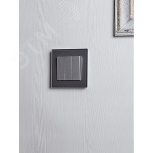 BRITE Выключатель трехклавишный 10А ВС10-3-0-БрА алюминий - фото 7