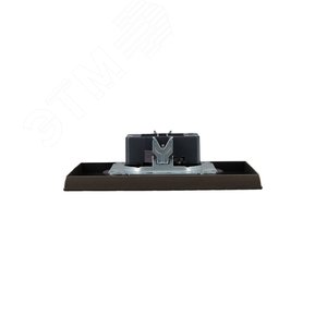 BRITE Розетка 2-местная без заземления без защитных шторок 10А в сборе РС12-2-БрТБ темная бронза IEK - фото 5