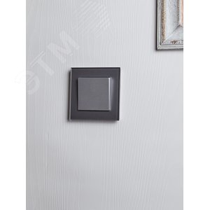 BRITE Выключатель одноклавишный 10А ВС10-1-0-БрА алюминий - фото 7