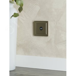 BRITE Розетка TV проходная РТВ10-0-БрШ шампань - фото 8