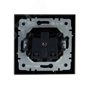 BRITE Розетка 1 пост без заземления без защитных шторок 10А в сборе РСР10-1-0-БрШ шампань IEK - фото 4