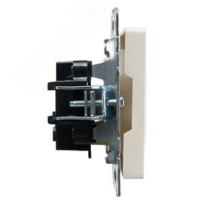 BRITE Розетка без заземления без защитных шторок 10А РС10-1-0-БрЖ жемчуг - фото 3