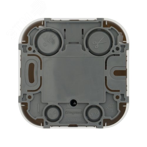 Розетка для открытой установки TV тип звезда белый QUTEO - фото 2