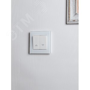 BRITE Выключатель жалюзи 10А ВС10-1-5-БрБ белый - фото 7