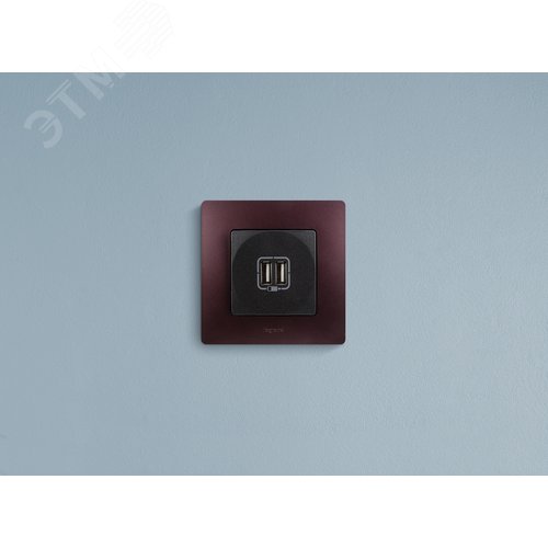 Розетка USB A+A 15Вт антрацит ETIKA - фото 2