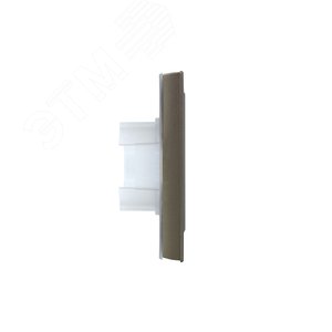 BRITE Рамка 2 поста IP44 РУ-2-БрШ-44 шампань - фото 3