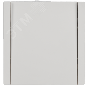 FORTE&PIANO Выключатель 1-клавишный самовозвратный 10А FP210 белый IEK - фото 3