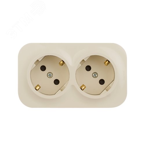 Розетка 2-местная для открытой установки с заземлением с защитными шторками с предварительным подключением 16А слоновая кость QUTEO - фото 2