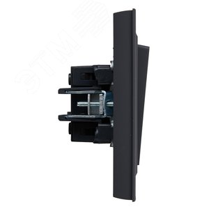 BRITE Выключатель двухклавишный 10А в сборе ВСР10-2-0-БрГ графит IEK - фото 3