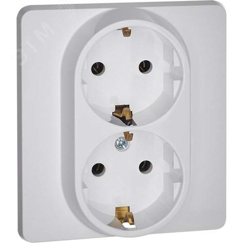 Розетка 2-местная с заземлением без защитных шторок 16А в сборе белый INSPIRIA - фото 1