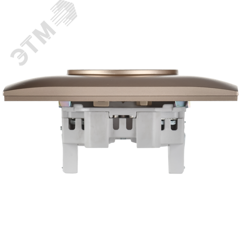 SKANDY Розетка 2-местная без заземления без защитных шторок 10А в сборе SK-R10Sa песочный IEK - фото 2