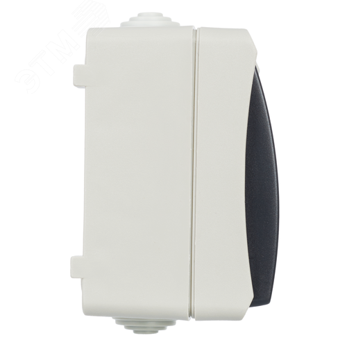 ФОРС Выключатель одноклавишный кнопочный наружный IP54 - фото 2