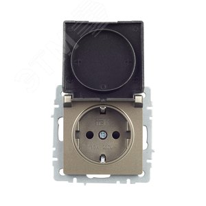BRITE Розетка с заземлением с защитными шторками и крышкой 16А IP20 РСбш10-3-БрШ шампань - фото 9