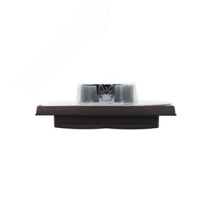 BRITE Розетка 2-местная с заземлением с защитными шторками и крышкой 16А в сборе IP44 РСбш12-3-44-БрТБ темная бронза - фото 8