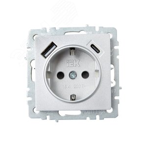 BRITE Розетка с заземлением с защитными шторками 16А с USB A+C 18Вт РЮш11-1-БрА алюминий - фото 2