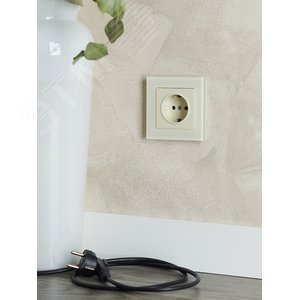 BRITE Розетка с заземлением без защитных шторок 16А РС11-1-0-БрКр бежевый - фото 8