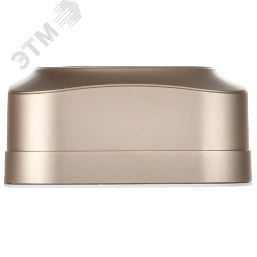 GLORY Розетка 1-местная для открытой установки без заземления с защитными шторками 10А РСш20-2-ХШм шампань матовый IEK - фото 2