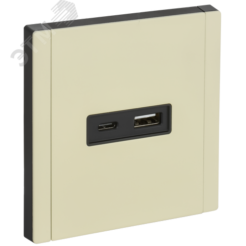 Изображение товара FORTE&PIANO Розетка USB A+C 18Вт FP851M металл слоновая кость IEK (шт)