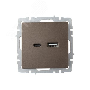 BRITE Розетка USB A+C 18Вт РЮ11-1-БрТБ темная бронза - фото 2