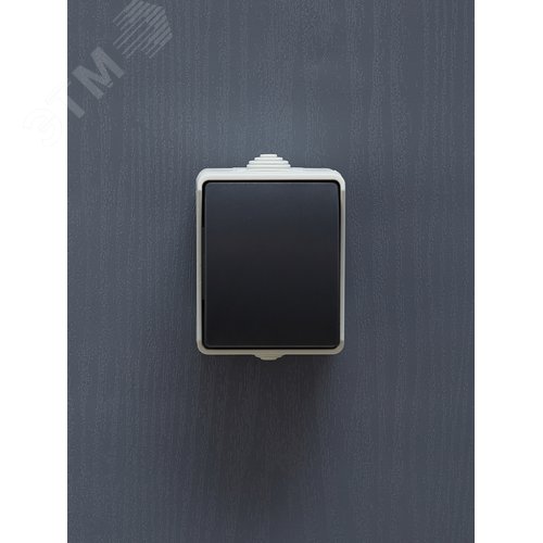 ФОРС Выключатель одноклавишный кнопочный наружный IP54 - фото 3