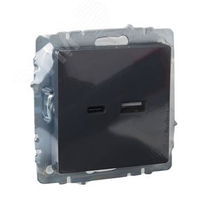 BRITE Розетка USB A+C 18Вт РЮ11-1-БрГ графит - фото 6