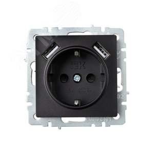 BRITE Розетка с заземлением с защитными шторками 16А с USB A+A 3,1А РЮш10-2-БрЧ черный - фото 2