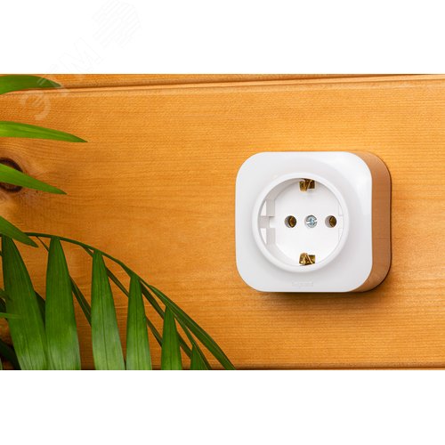 Розетка 1-местная для открытой установки с заземлением без защитных шторок 16А белый QUTEO - фото 2