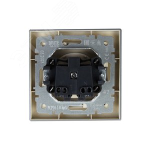 BRITE Розетка 1 пост без заземления без защитных шторок 10А в сборе РСР10-1-0-БрА алюминий IEK - фото 4