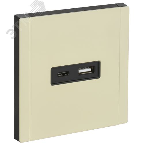 Изображение товара FORTE&PIANO Розетка USB A+C 3,1А FP850M металл слоновая кость IEK (шт)