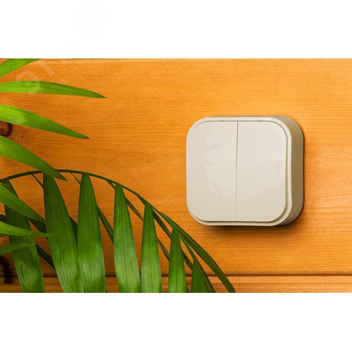 Выключатель 2-клавишный для открытой установки 10А слоновая кость QUTEO - фото 2