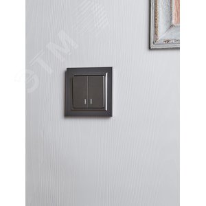 BRITE Выключатель двухклавишный с индикацией 10А ВС10-2-1-БрС сталь - фото 7