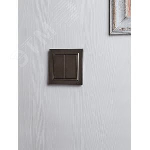 BRITE Выключатель двухклавишный 10А в сборе ВСР10-2-0-БрТБ темная бронза IEK - фото 6