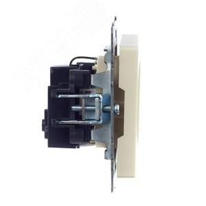 BRITE Розетка с заземлением без защитных шторок 16А РС11-1-0-БрКр бежевый - фото 3