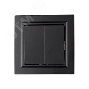 BRITE Выключатель двухклавишный 10А в сборе ВСР10-2-0-БрЧ черный IEK - фото 2