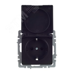 BRITE Розетка с заземлением с защитными шторками и крышкой 16А IP44 РСбш10-3-44-БрЧ черный - фото 9