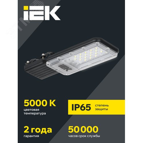 Светильник светодиодный консольный ДКУ 1011-30Ш 5000К IP65 - фото 2