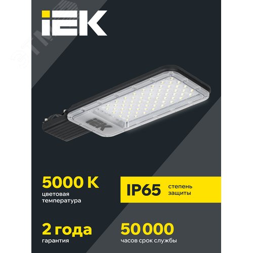 Светильник светодиодный консольный ДКУ 1011-100Ш 5000К IP65 - фото 2