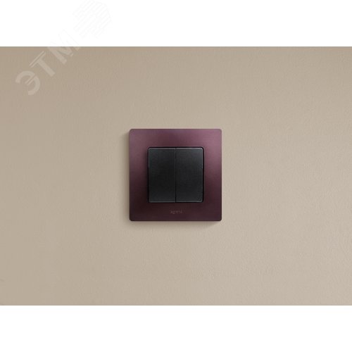 Выключатель 2-клавишный 10А безвинтовое крепление антрацит ETIKA - фото 2