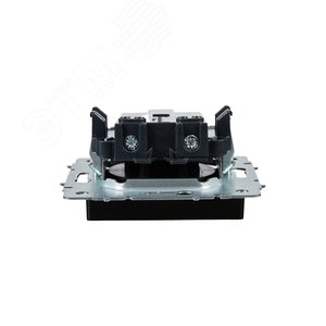 BRITE Розетка без заземления без защитных шторок 10А РС10-1-0-БрЧ черный - фото 5