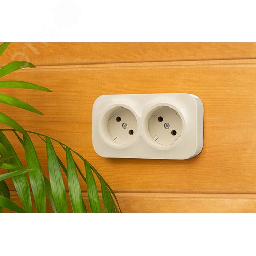 Розетка 2-местная для открытой установки без заземления без защитных шторок с предварительным подключением 16А слоновая кость QUTEO - фото 2