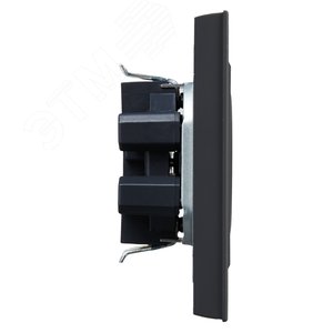 BRITE Розетка 2-местная без заземления с защитными шторками 10А в сборе РСш12-2-БрГ графит IEK - фото 3