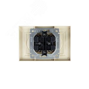 BRITE Розетка 2-местная без заземления с защитными шторками 10А в сборе РСш12-2-БрКр бежевый IEK - фото 4